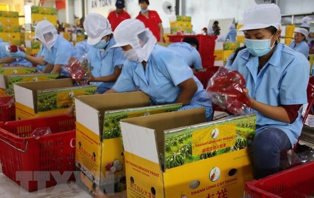 加拿大官员高度评价越南经济的活跃发展 ảnh 2 加拿大官员高度评价越南经济的活跃发展 ảnh 2