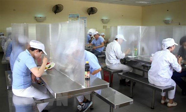 海防市各经济区和工业园区制定新冠肺炎疫情应对方案 ảnh 1 海防市各经济区和工业园区制定新冠肺炎疫情应对方案 ảnh 1