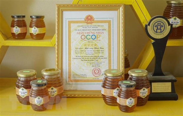 越南蜂蜜面临美国反倾销调查 ảnh 1