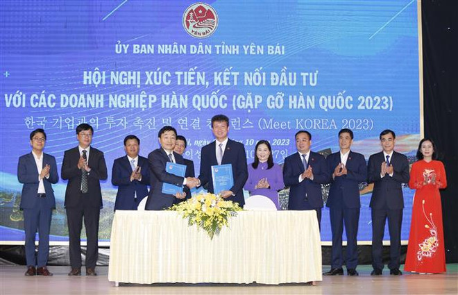 韩国企业高度评价安沛省对投资者的关注以及提供的便利 ảnh 1