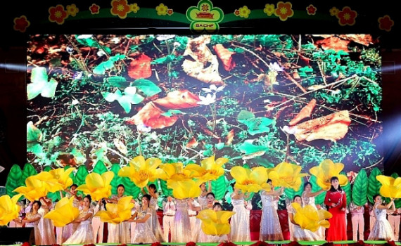 广宁省为刺激旅游需求而举办各种各样节日活动 ảnh 2