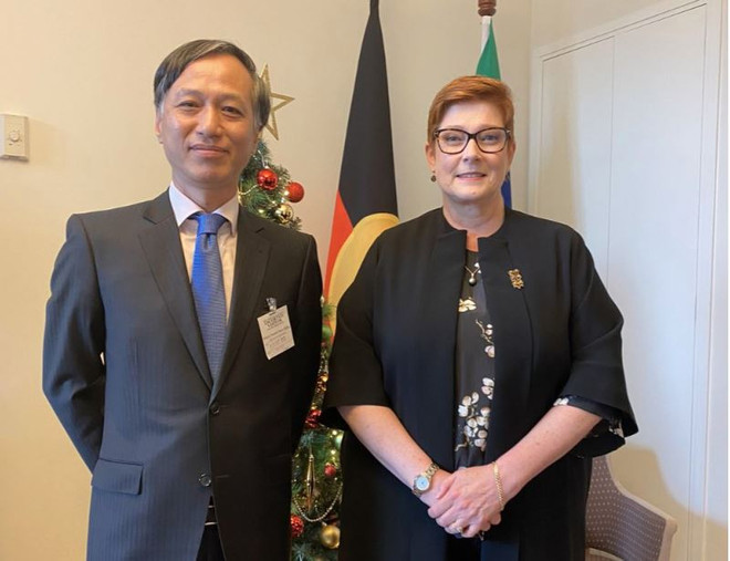 澳外长佩恩：越澳在多个领域上成为彼此的重要合作伙伴 ảnh 1