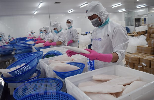 2020年越南水产品出口额预计达86亿美元 ảnh 2 2020年越南水产品出口额预计达86亿美元 ảnh 2