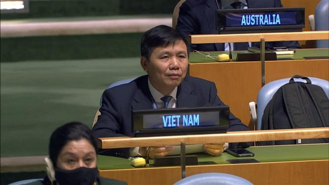 联合国大会通过由越南提出的第一项决议 ảnh 1 联合国大会通过由越南提出的第一项决议 ảnh 1