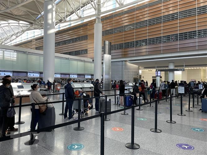 将在美国滞留的近360名越南公民接回国 ảnh 1 将在美国滞留的近360名越南公民接回国 ảnh 1