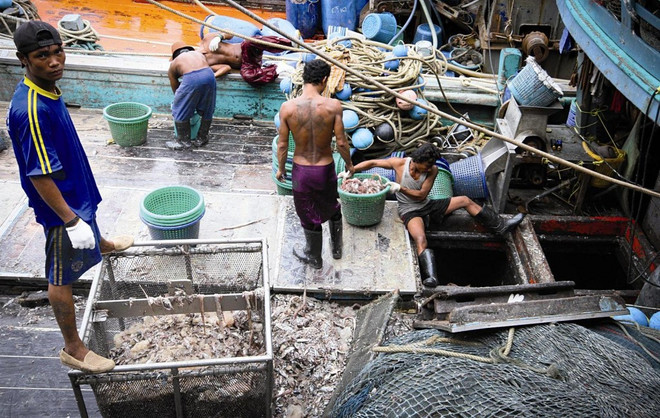 泰国对欧盟把该国从“预备违法捕鱼国”名单中删除表示欢迎 ảnh 1 泰国对欧盟把该国从“预备违法捕鱼国”名单中删除表示欢迎 ảnh 1