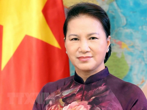 国会主席阮氏金银:加强团结 共促发展 ảnh 1 国会主席阮氏金银:加强团结 共促发展 ảnh 1