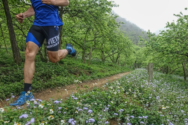 2019年越野马拉松赛即将在山罗省举行 ảnh 1 2019年越野马拉松赛即将在山罗省举行 ảnh 1