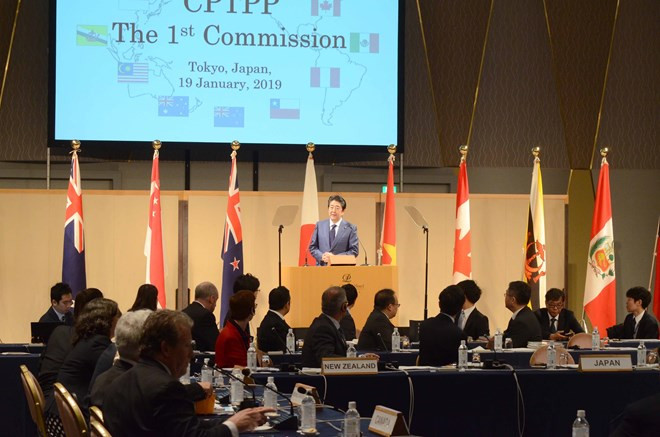 越通社简讯2019.1.19 ảnh 1 越通社简讯2019.1.19 ảnh 1