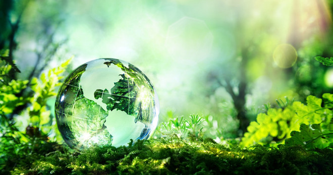 日本协助越南处理环境问题 ảnh 1