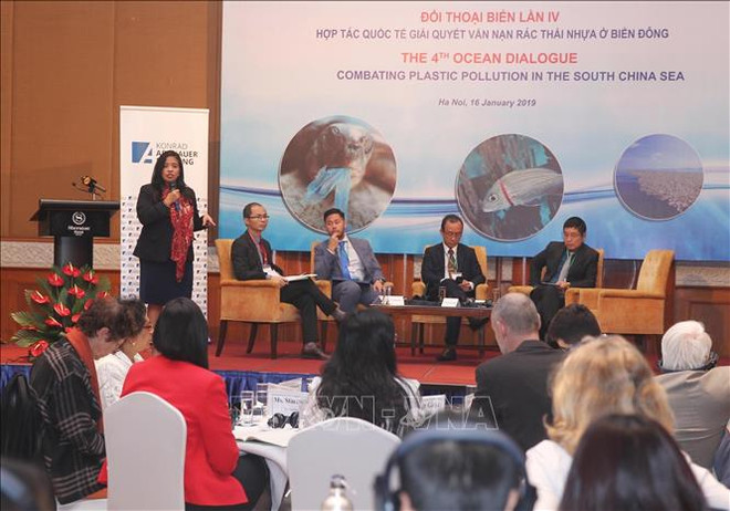 加强国际合作解决东海塑料垃圾问题 ảnh 1