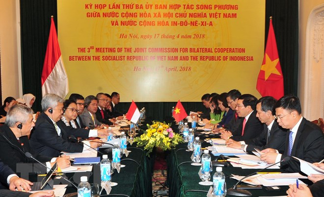 印尼外长：2018年是越印两国关系中的特别之年 ảnh 1