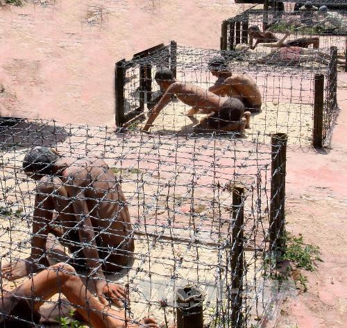 富国从“民间地狱”变成越南第一个海岛城市 ảnh 2 富国从“民间地狱”变成越南第一个海岛城市 ảnh 2