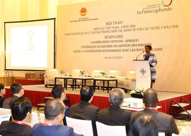 提升越南与非洲国家的经济合作效益 ảnh 3