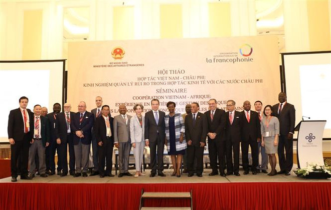 提升越南与非洲国家的经济合作效益 ảnh 1