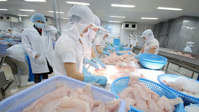 另有五家越南水产品加工企业获批向俄罗斯出口 ảnh 1 另有五家越南水产品加工企业获批向俄罗斯出口 ảnh 1