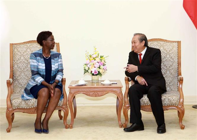 张和平副总理：越南不断为世界和平、安全与发展做出贡献 ảnh 1