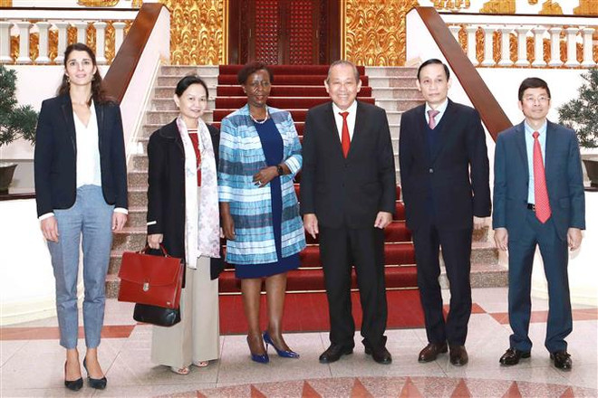 张和平副总理：越南不断为世界和平、安全与发展做出贡献 ảnh 2