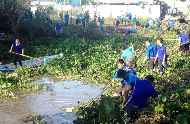 美国协助芹苴市发展农业、保护环境和应对气候变化 ảnh 1 美国协助芹苴市发展农业、保护环境和应对气候变化 ảnh 1