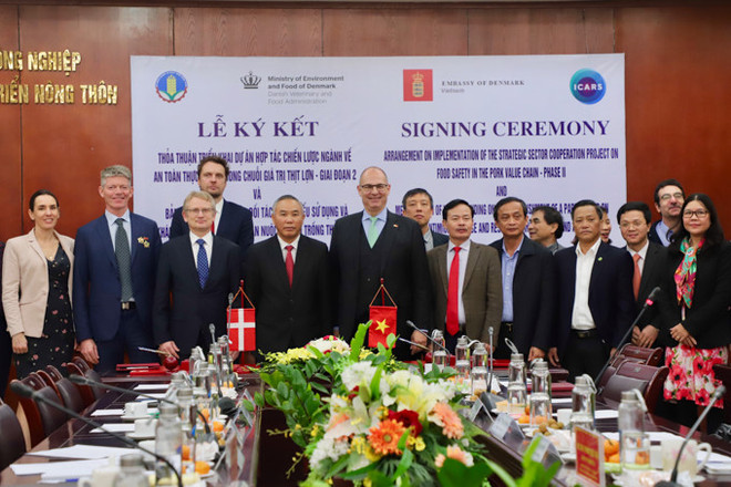丹麦援助越南提高猪肉价值链中食品安全 ảnh 2 丹麦援助越南提高猪肉价值链中食品安全 ảnh 2