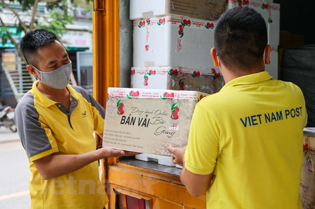 越南推进电商惠农惠企产销对接 让农产品走得更远 ảnh 4 越南推进电商惠农惠企产销对接 让农产品走得更远 ảnh 4