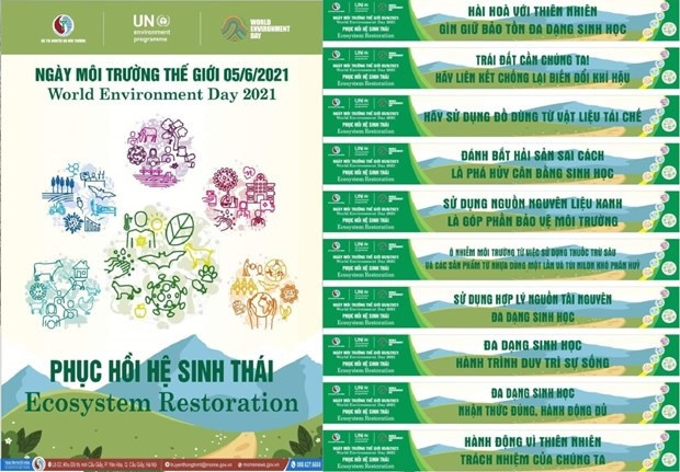 2021年世界环境日:越南积极响应“联合国生态系统恢复十年”行动计划 ảnh 2 2021年世界环境日:越南积极响应“联合国生态系统恢复十年”行动计划 ảnh 2