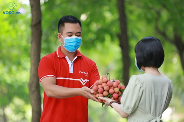 越南推进电商惠农惠企产销对接 让农产品走得更远 ảnh 1 越南推进电商惠农惠企产销对接 让农产品走得更远 ảnh 1