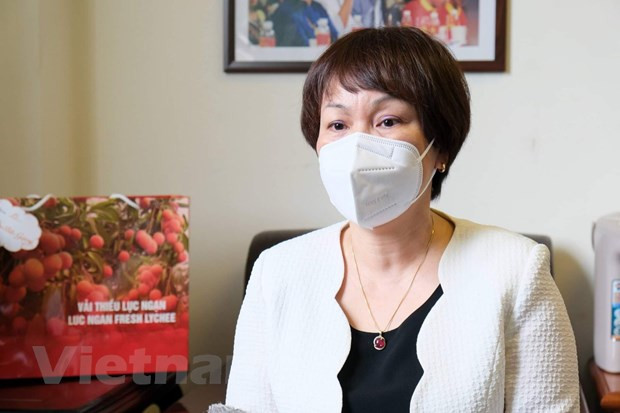 拓展荔枝销售渠道 实行内外销两手抓 ảnh 2 拓展荔枝销售渠道 实行内外销两手抓 ảnh 2