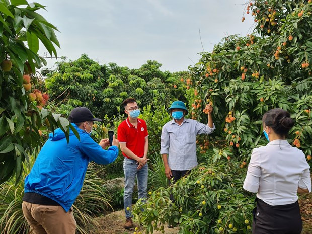 越南推进电商惠农惠企产销对接 让农产品走得更远 ảnh 3 越南推进电商惠农惠企产销对接 让农产品走得更远 ảnh 3
