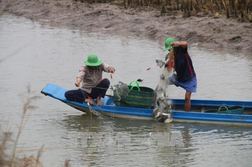 2018年前江省力争将出口额提升至26.5亿美元 ảnh 1 2018年前江省力争将出口额提升至26.5亿美元 ảnh 1
