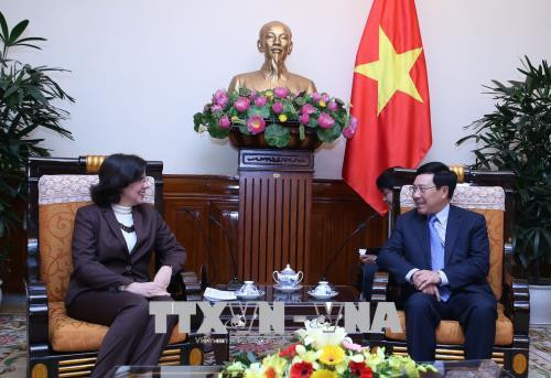 越南政府副总理兼外长范平明会见古巴新任驻越大使 ảnh 1 越南政府副总理兼外长范平明会见古巴新任驻越大使 ảnh 1