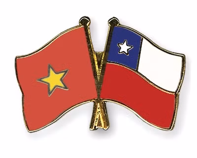 越南政府就实施《越南与智利自由贸易协定》推出进口商品特惠税率表 ảnh 1