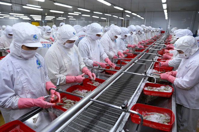 越南水产品出口面临许多挑战 ảnh 2 越南水产品出口面临许多挑战 ảnh 2