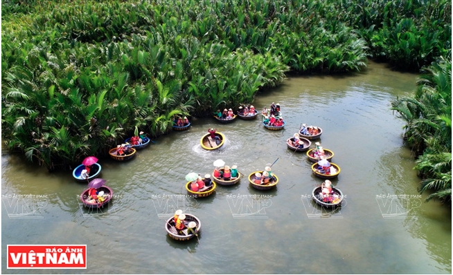 绿油油的锦青水椰林 ảnh 1 绿油油的锦青水椰林 ảnh 1