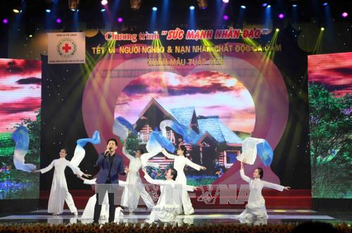 越南国家主席陈大光出席“人道主义力量”艺术晚会 ảnh 1