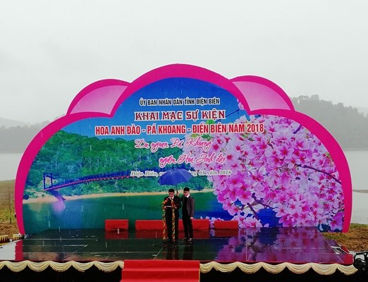 2018年奠边帕框樱花节:展示樱花之美 推介当地旅游潜力 ảnh 1 2018年奠边帕框樱花节:展示樱花之美 推介当地旅游潜力 ảnh 1