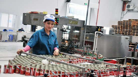 乂安省——投资商的乐土 ảnh 1