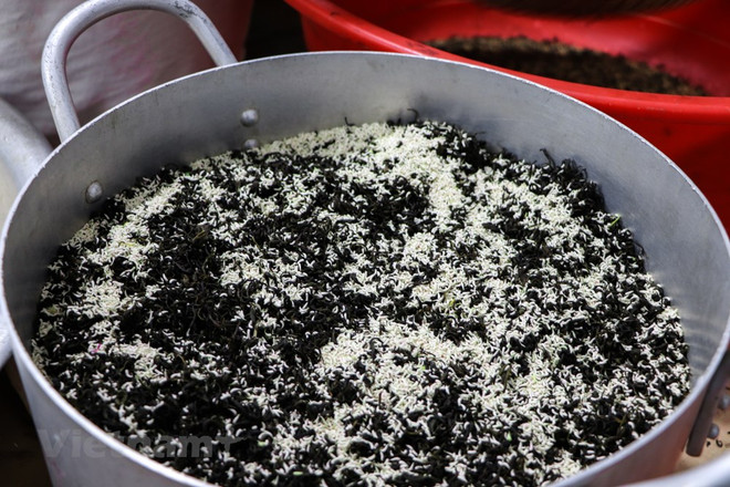 组图:西湖莲花茶——河内夏季特产 ảnh 7 组图:西湖莲花茶——河内夏季特产 ảnh 7