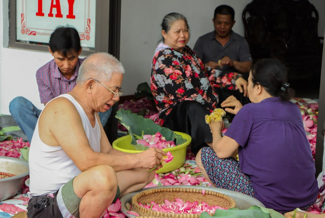 组图:西湖莲花茶——河内夏季特产 ảnh 5 组图:西湖莲花茶——河内夏季特产 ảnh 5