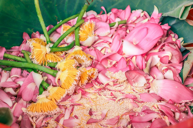 组图:西湖莲花茶——河内夏季特产 ảnh 4 组图:西湖莲花茶——河内夏季特产 ảnh 4