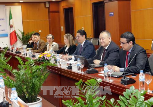 越南与墨西哥合作潜力仍巨大 ảnh 2 越南与墨西哥合作潜力仍巨大 ảnh 2