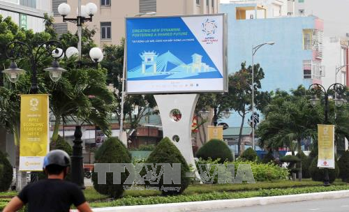 澳大利亚专家：越南是维护地区和平稳定的重要因素 ảnh 1