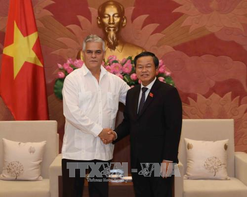 越共中央民运部部长张氏梅会见古巴保护革命委员会代表团 ảnh 2 越共中央民运部部长张氏梅会见古巴保护革命委员会代表团 ảnh 2