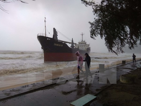 政府总理下达通知要求紧急救助海上失踪船员和渔民 ảnh 1 政府总理下达通知要求紧急救助海上失踪船员和渔民 ảnh 1