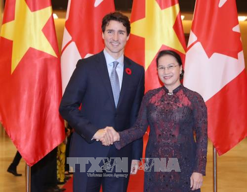 越共中央总书记阮富仲与国会主席阮氏金银分别会见加拿大总理特鲁多 ảnh 2 越共中央总书记阮富仲与国会主席阮氏金银分别会见加拿大总理特鲁多 ảnh 2