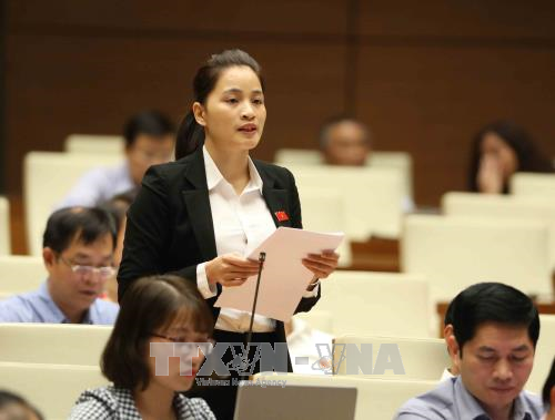 越南第十四届国会第四次会议公报(第九号) ảnh 2 越南第十四届国会第四次会议公报(第九号) ảnh 2