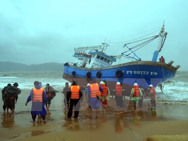 越南政府总理指导开展台风灾后重建和洪涝灾害救灾应急工作 ảnh 1 越南政府总理指导开展台风灾后重建和洪涝灾害救灾应急工作 ảnh 1