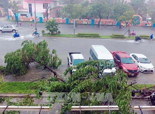 一周要闻回顾（2017.10.30—2017.11.5） ảnh 6