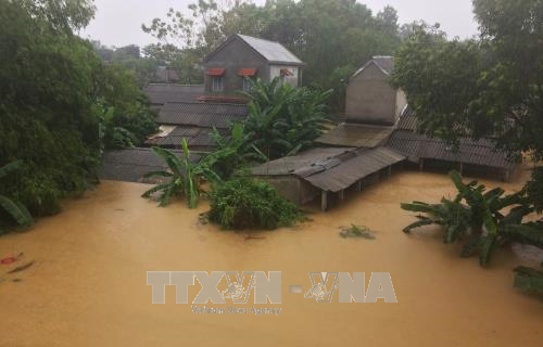 强台风“达维”造成越南44人死亡19人失踪 经济损失惨重 ảnh 1 强台风“达维”造成越南44人死亡19人失踪 经济损失惨重 ảnh 1