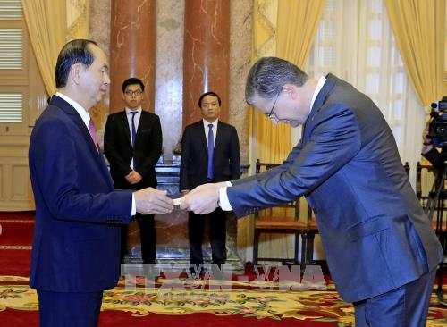 国家主席陈大光接受三国新任驻越大使递交的国书 ảnh 3 国家主席陈大光接受三国新任驻越大使递交的国书 ảnh 3